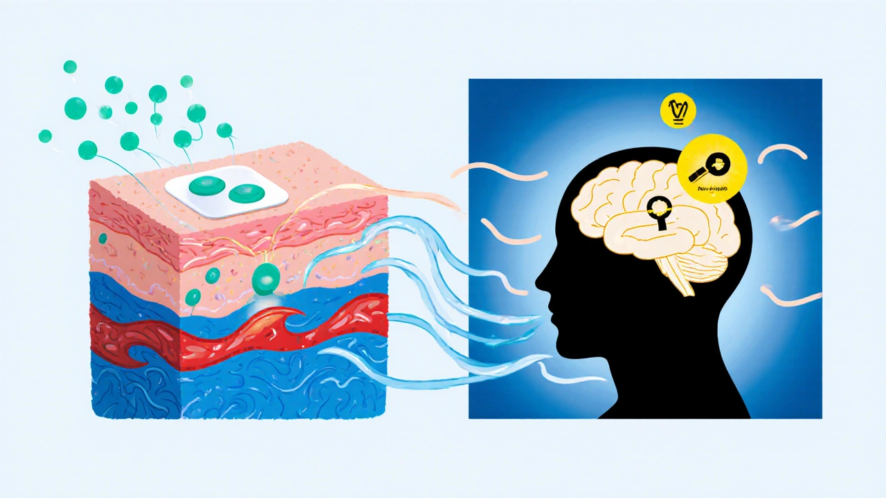 Illustration of patch releasing molecules into skin, blood, and brain showing dopamine rise.